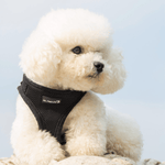 Mr. Peanut's PupTrek Choke-Free Soft Mesh Harness Vest for Small Pets