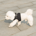 Mr. Peanut's PupTrek Choke-Free Soft Mesh Harness Vest for Small Pets