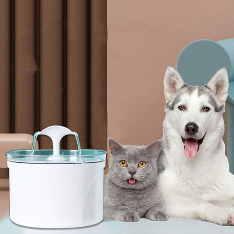 Pet Electric Automatic Water Feeder