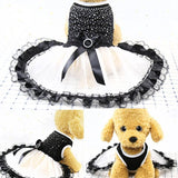 Spring And Summer Pet Fashion: Stylish Dog Clothing
