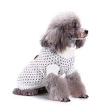 Festive Snowfall Dog Sweater