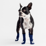 🐾 Compression Dog Socks – Blue Anti-Slip Support