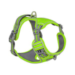 Explosive Adventure Dog Harness