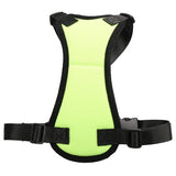 Petsafe Travel Harness