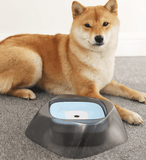 Splashguard Pet Water Bowl