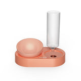 The All-In-One Pet Feeding Station: Automatic Double Bowl And Water