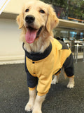 Two-Tone Dog Jacket