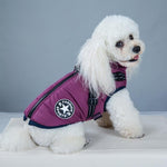 Winter Wonderland Pet Hooded Coat