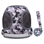 Reflective Adventure Pet Harness With Printed Leash