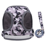 Reflective Adventure Pet Harness With Printed Leash