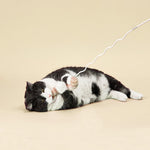 The Bingo Stick Cat Toy