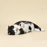The Bingo Stick Cat Toy