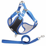 Dog Harness And Leash