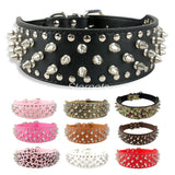 2 Inch Wide Spiked Studded Leather Collars