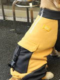 Two-Tone Dog Jacket