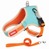 Luxury Suede Dog Harness Set