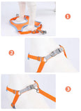 Ultimate Comfort And Safety Pet Harness Set