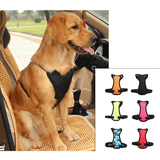 Petsafe Travel Harness