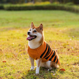 Halloween Dog Sweater Cosplay