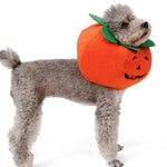 Halloween Pumpkin Pup Collar