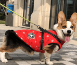 Winter Wonderland Pet Hooded Coat