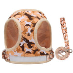 Reflective Adventure Pet Harness With Printed Leash