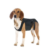 Ultimate Supportive Back Brace For Dogs