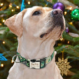 Reflective Wave Point Dog Collar: High Visibility, Adjustable