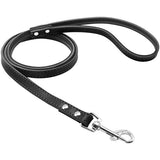 5 Colors Leather Dog Leashes
