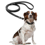5 Colors Leather Dog Leashes