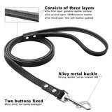 5 Colors Leather Dog Leashes