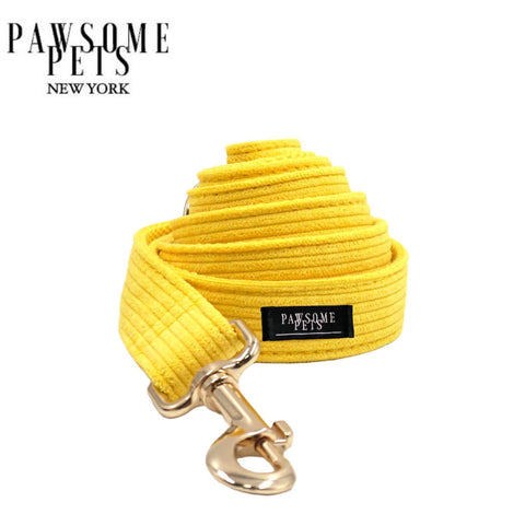 Bright Yellow Dog Leash