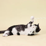 The Bingo Stick Cat Toy