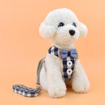 Pet Adventure Harness