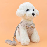 Pet Adventure Harness