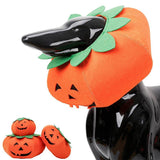 Halloween Pumpkin Pup Collar