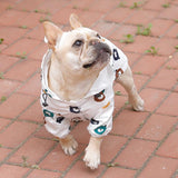 Puppy Paws Waterproof Dog Raincoat - Bear Suit Style
