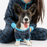 Plaid Dog Pajamas - Blue
