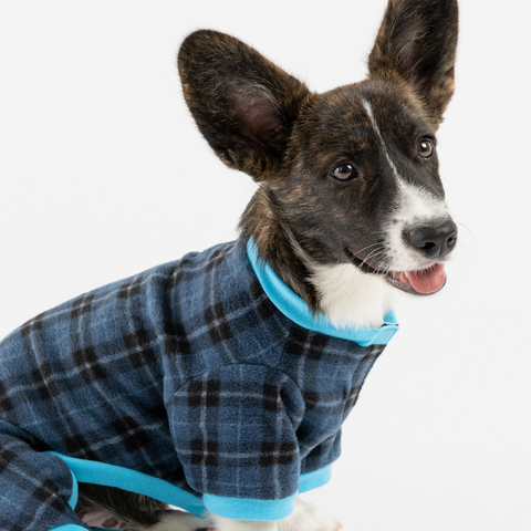 Plaid Dog Pajamas - Blue