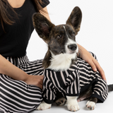 Dog Pajamas - Stripe
