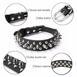 Spiked Studded Leather Dog Collar
