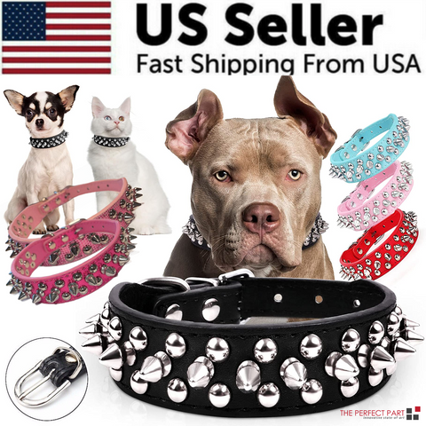 Spiked Studded Leather Dog Collar