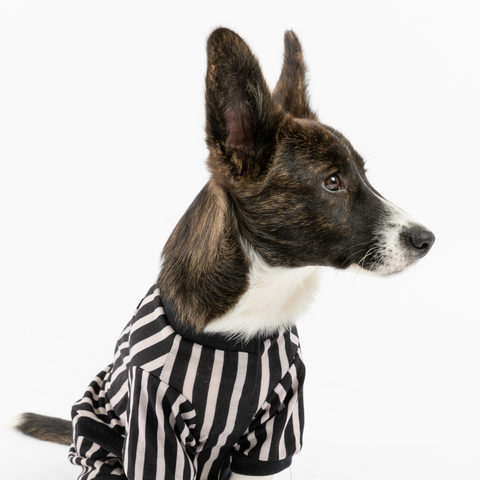 Dog Pajamas - Stripe