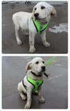 Reflective Adjustable Pet Harness