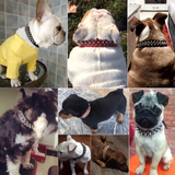 Spiked Studded Leather Dog Collar