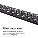 Spiked Studded Leather Dog Collar