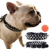 Spiked Studded Leather Dog Collar