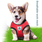 Reflective Adjustable Pet Harness