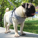 Reflective Airmesh Pet Harness: The Ultimate Comfort And Safety