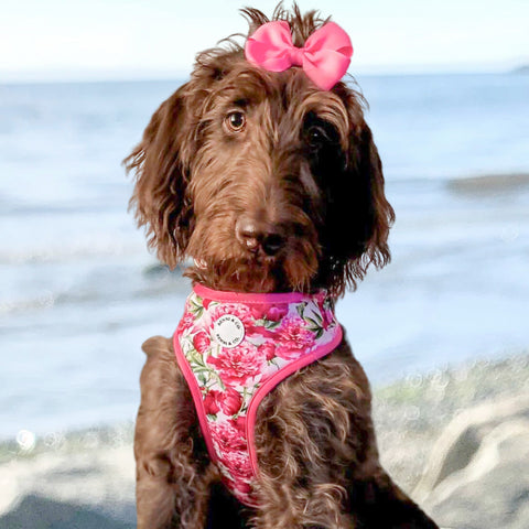 Pretty in Peonies Adjustable Harness